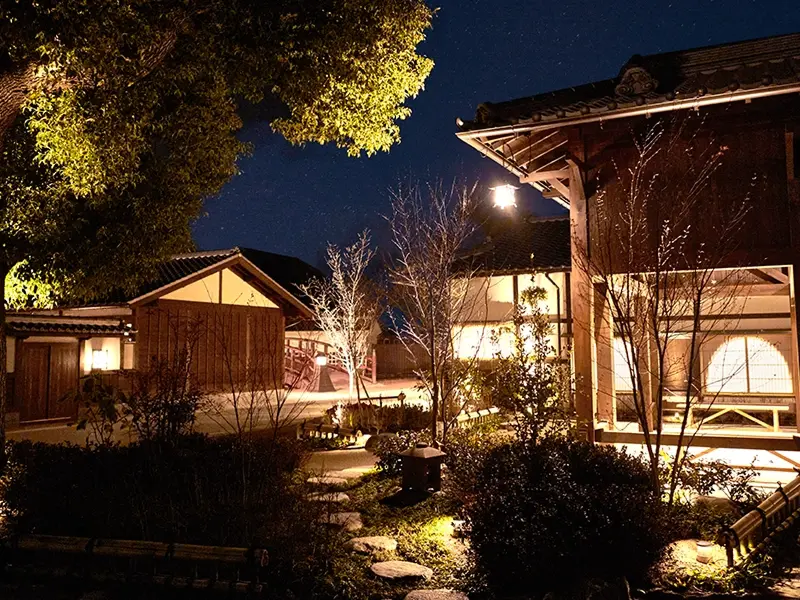 A photograph of Edo at night