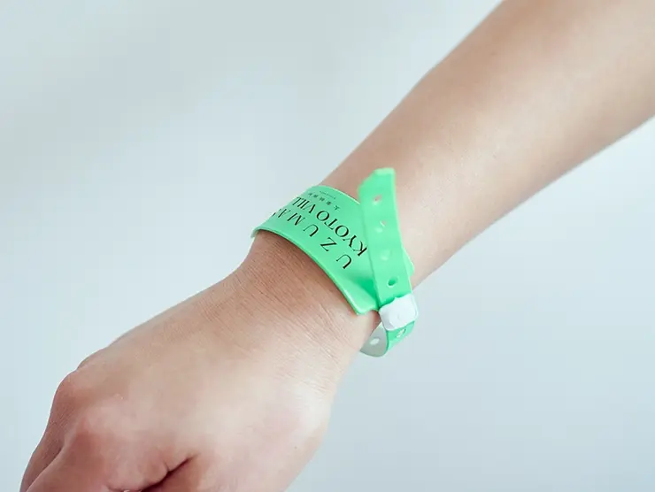 Image of unlimited attractions pass