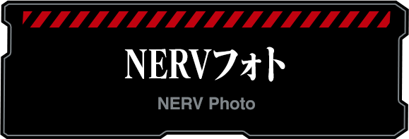 NERV Photo Store